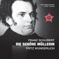 Die schöne Müllerin, Op. 25, D. 795: No. 11, Mein!