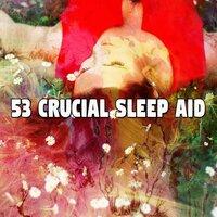 53 Crucial Sleep Aid