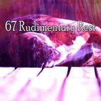 67 Rudimentary Rest