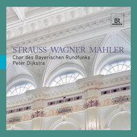 Strauss - Wagner - Mahler