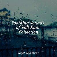 Soothing Sounds of Fall Rain Collection