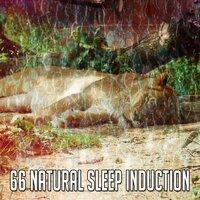 66 Natural Sleep Induction