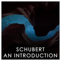 Schubert: An Introduction