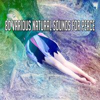 80 Various Natural Sounds for Peace