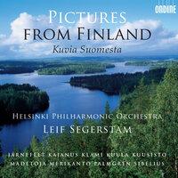 Orchestral Music (Finnish) - Klami, U. / Palmgren, S. / Kajanus, R. / Kuula, T. / Sibelius, J. (Pictures From Finland)