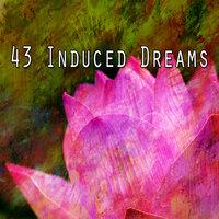 43 Induced Dreams