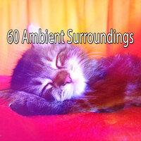 60 Ambient Surroundings