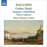 Paganini: Guitar Music