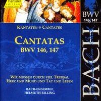 Bach, J.S.: Cantatas, Bwv 146-147