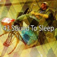 43 Sound to Sleep
