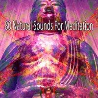 80 Natural Sounds for Meditation