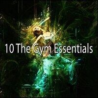 10 The Gym Essentials