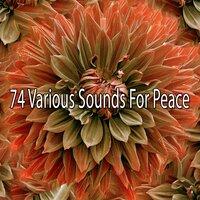 74 Various Sounds for Peace