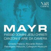 Mayr: Passio Domini Jesu Christi, Canzoni e arie da camera