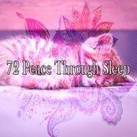 72 Peace Through Sleep
