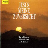 Bach, J.S.: Jesus meine zuversicht