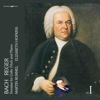 J.S. Bach & Reger: Cello Sonatas, Vol. 1