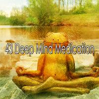 43 Deep Mind Medication