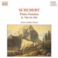SCHUBERT: Piano Sonatas, D. 784 and D. 894