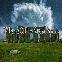 72 Tracks of Pure Natural Sounds