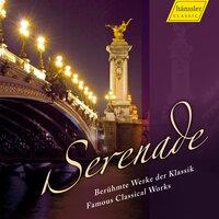 Orchestral Music - Mozart, W.A. / Handel, G.F. / Pachelbel, J. / Corelli, A. / Bach, J.S. (Serenade)
