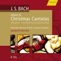 Bach, J.S.: Cantatas (Advent, Christmas)  - Bwv 36, 40, 57, 61, 62, 63, 64, 65, 91, 110, 121, 122, 123, 132, 133, 151, 191