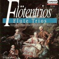 Flute Trios - Hummel, J.N. / Haydn, F.J. / Gyrowetz, A. / Weber, C. M. Von