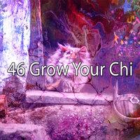 46 Grow Your Chi