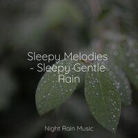 Sleepy Melodies - Sleepy Gentle Rain