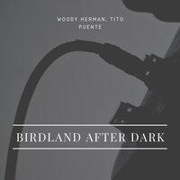 Birdland After Dark
