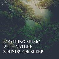 Soothing Music with Nature Sounds for Sleep