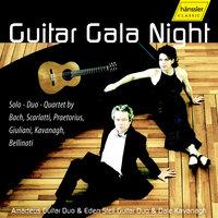 Amadeus Guitar Duo: Guitar Gala Night