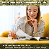 Reading and Studying Music: Rain Sounds and Calm Music For Work, Working Music, Work Music, Music For Focus and Concentration and Study Music For Studying