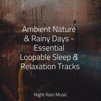 Ambient Nature & Rainy Days - Essential Loopable Sleep & Relaxation Tracks