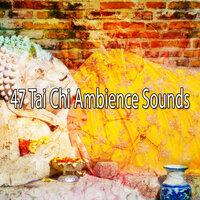 47 Tai Chi Ambience Sounds