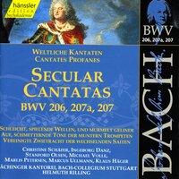 Bach, J.S.: Secular Cantatas, Bwv 206-207