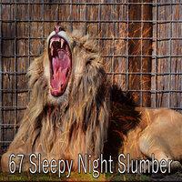 67 Sleepy Night Slumber