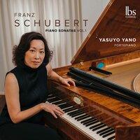 Schubert: Piano Sonatas, D. 894 & 845