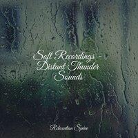 Soft Recordings - Distant Thunder Sounds