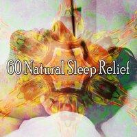 60 Natural Sleep Relief
