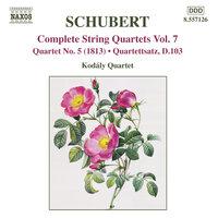 Schubert: String Quartets (Complete), Vol. 7