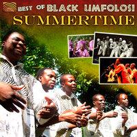 Best of Black Umfolosi: Summertime