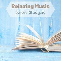 Relaxing Music before Studying: Alpha Waves, Piano Music, Concentration Music
