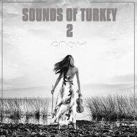 Sounds Of Turkey, Vol. 2