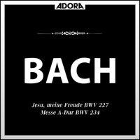Messe in A Major, BWV 234: No. 2, Gloria