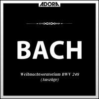 Stuttgarter Bachorchester