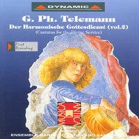 Telemann: Harmonischer Gottes-Dienst (Der), Vol. 2