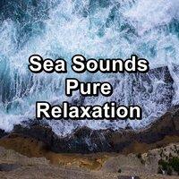 Sea Sounds Pure Relaxation