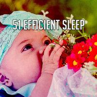 51 Efficient Sle - EP