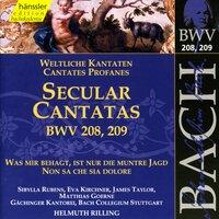 Bach, J.S.: Secular Cantatas, Bwv 208 and Bwv 209